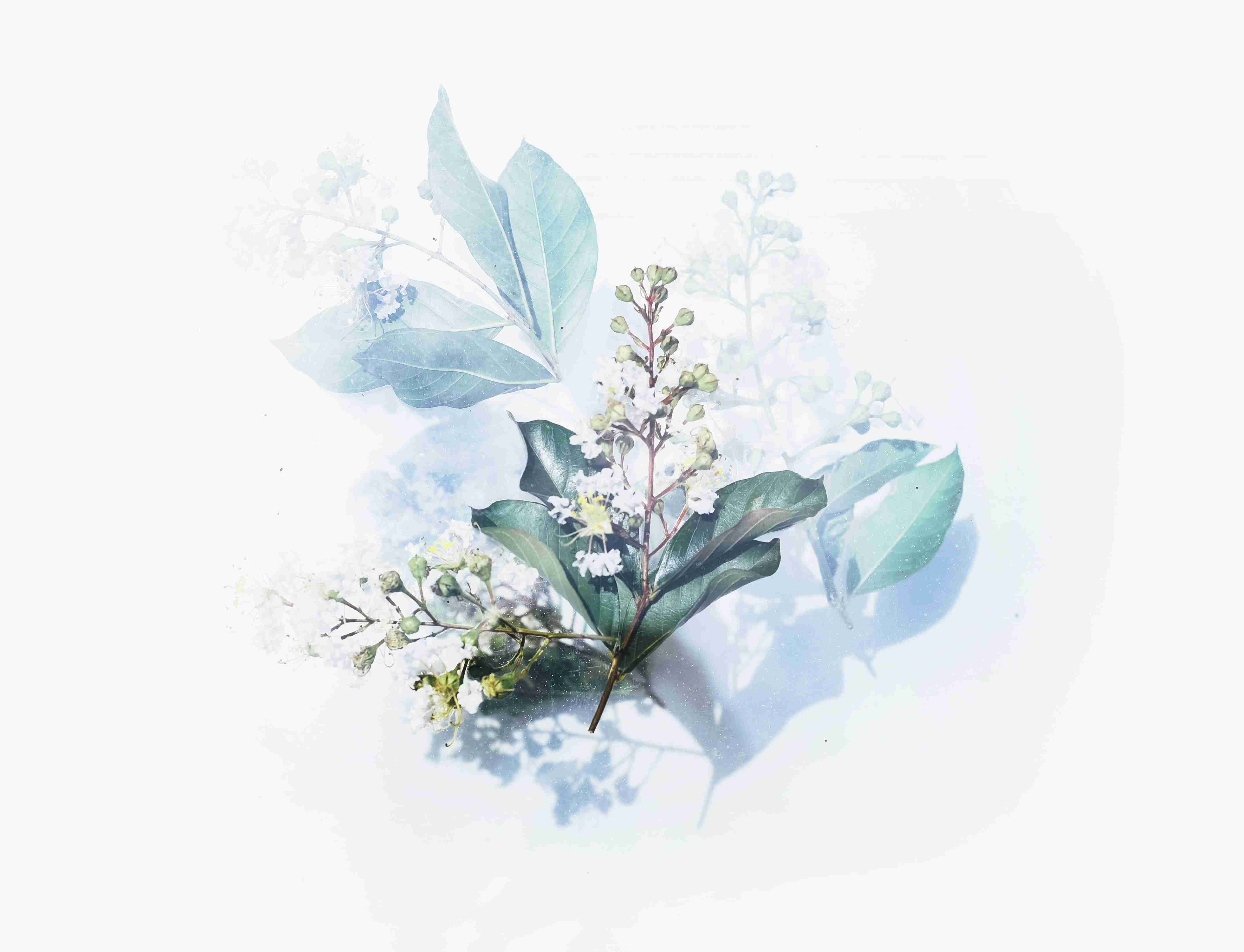 如军龙虾螃蟹养殖_龙虾的养殖视频