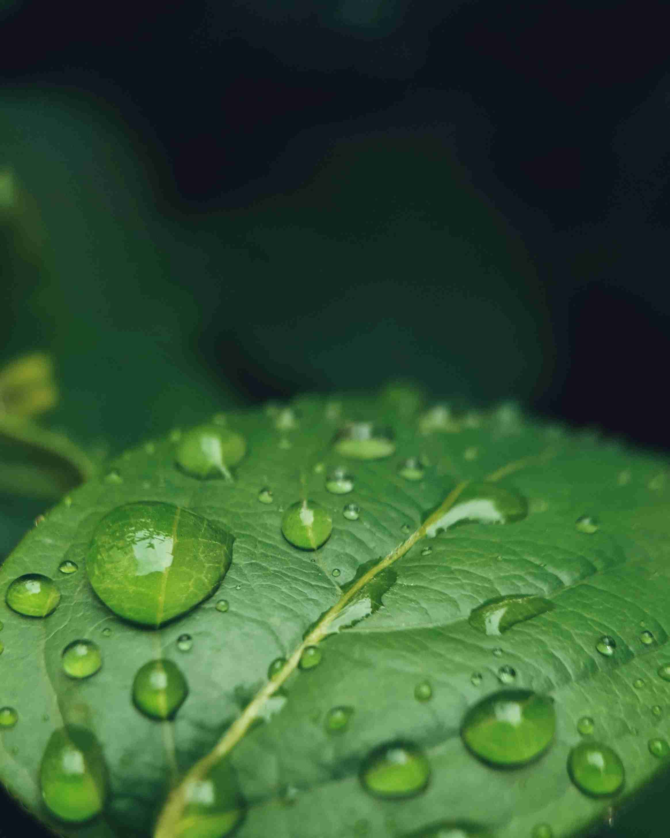 北方农业智能种植技术指南 北方农作物种植