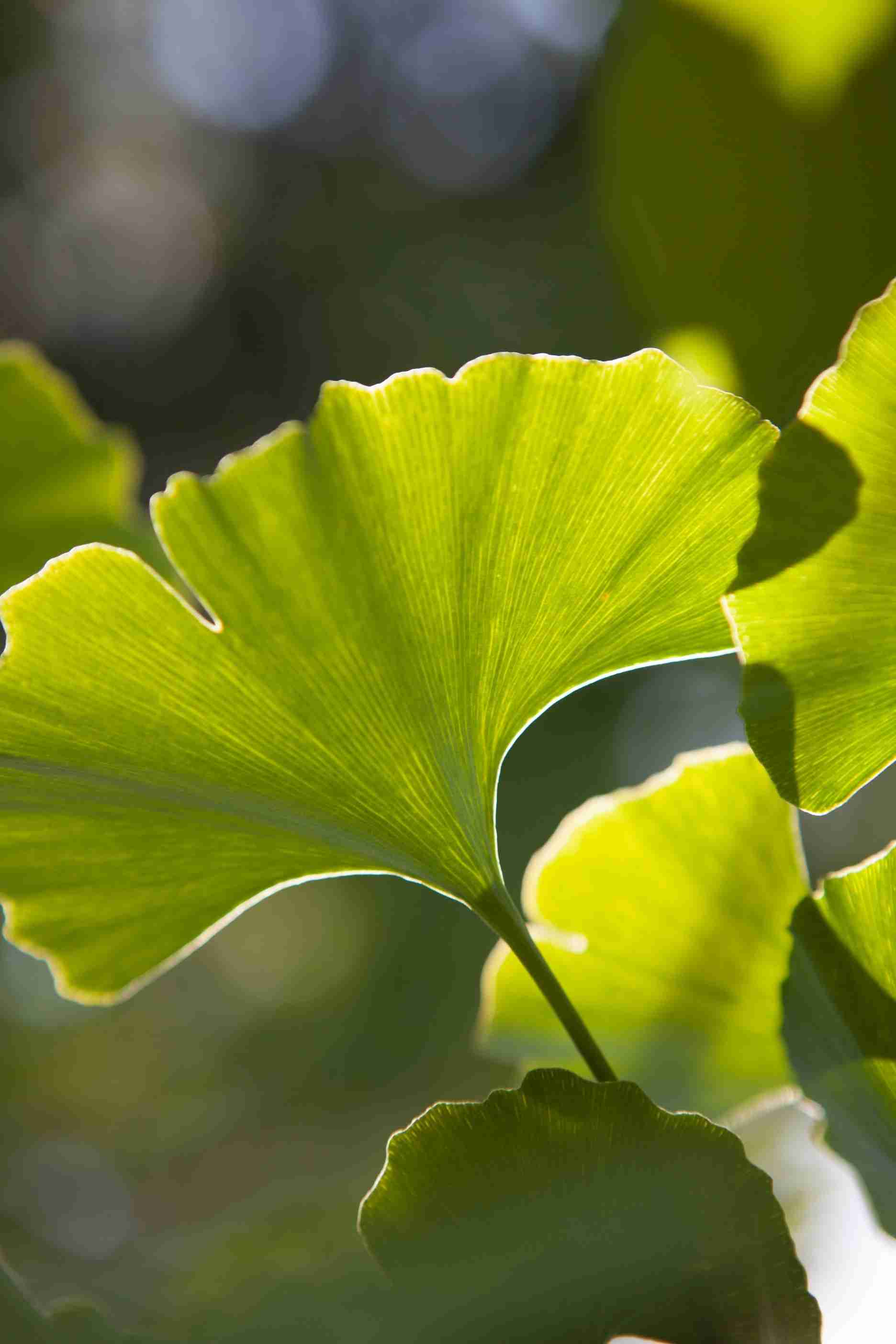 海盐种植技术视频_海盐种植技术视频播放